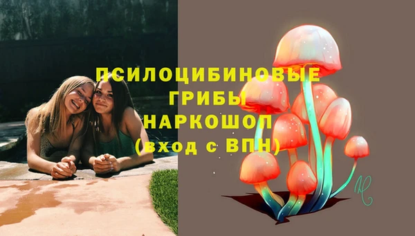 каннабис Аркадак