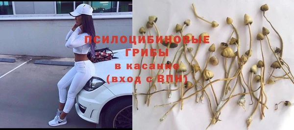 дурь Арсеньев