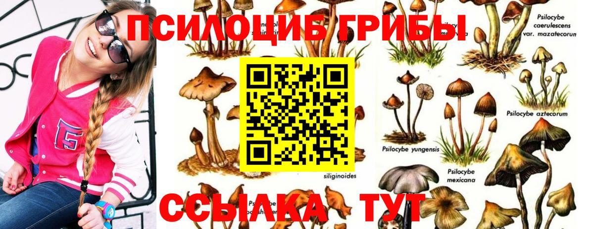 Баксан  Псилоцибиновые грибы GOLDEN TEACHER  Вход с VPN 